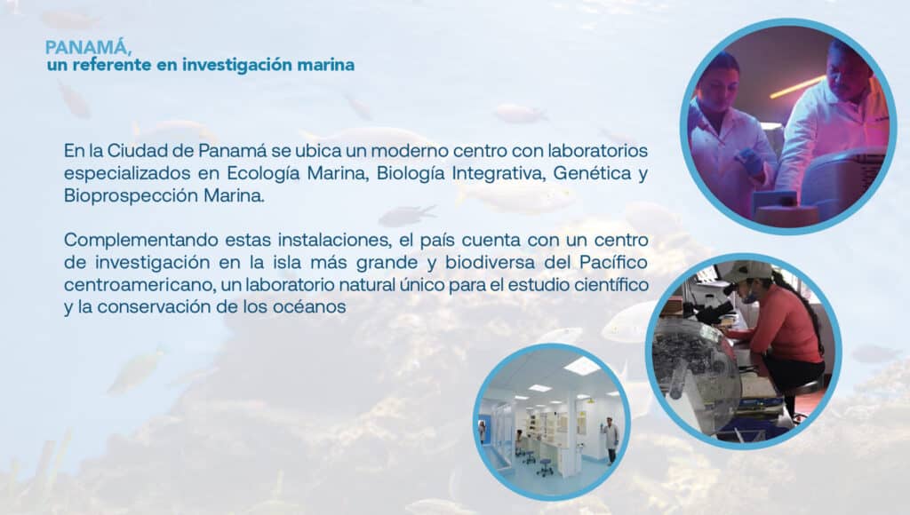 Panamá referente en Investigación marina