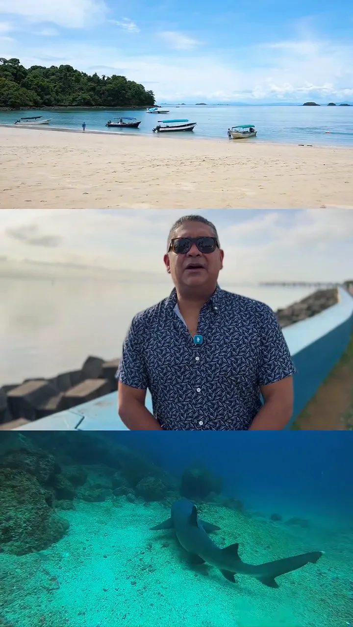 Fotograma del video de bienvenida al COLACMAR 2026